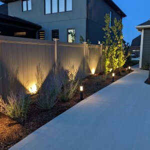 Fence & Tree Lighting